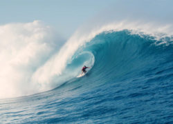 Image koa-rothman-oahu-outer-reefs.jpg