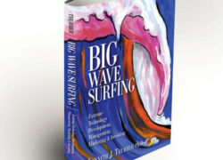 Image bigwavesurfingbook.jpg