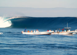 Image fijisurfing.jpg