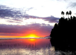 Image tahitisunset.jpg