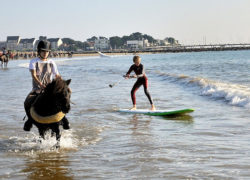 Image horsesurfing2.jpg