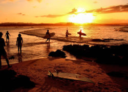 Image surfingsunset.jpg