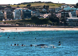 Image whalebondibeach.jpg