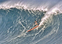 Image eddieaikau9.jpg