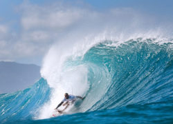 Image kellyslater71.jpg