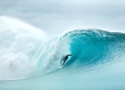 Image kellyslater82.jpg