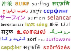 Image surfinglanguages.jpg