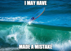 Image surfingmeme.jpg