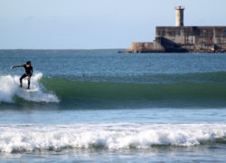 Image surfermatosinhos.jpg