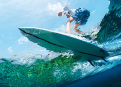 Image underwatersurfer.jpg