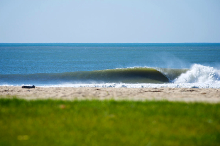 Image espinho-wave.jpg