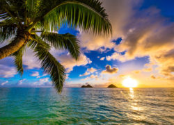 Image lanikai-beach-hawaii.jpg