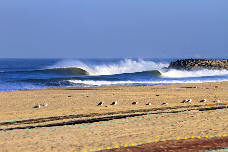 Image portuguese-point-break.jpg